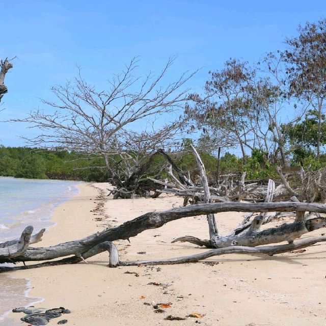 Cowrie Island