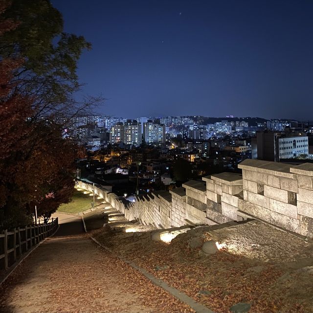 서울의 야경, 낙산공원