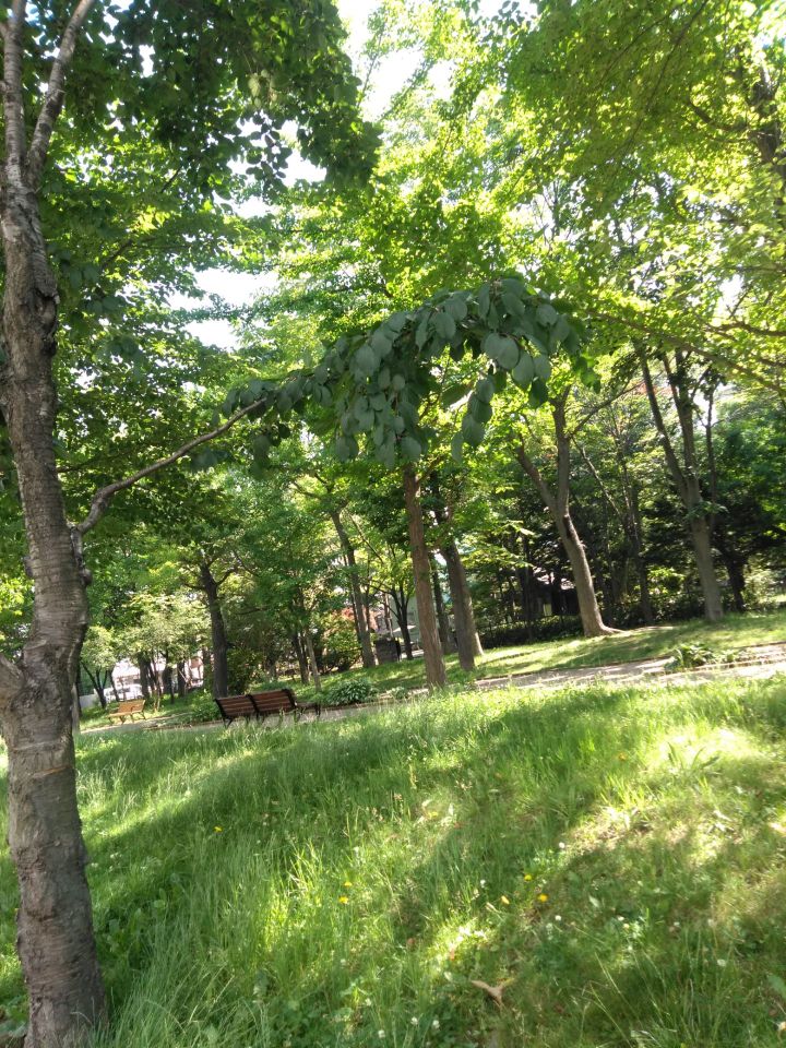 札幌 永山記念公園 評判 案内 トリップドットコム 札幌 永山記念公園 評判 案内 トリップドットコム