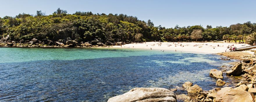 Shelly Beach