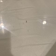 Yi Feng Court User Photo