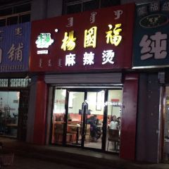 YANG GUO FU MA LA TANG User Photo