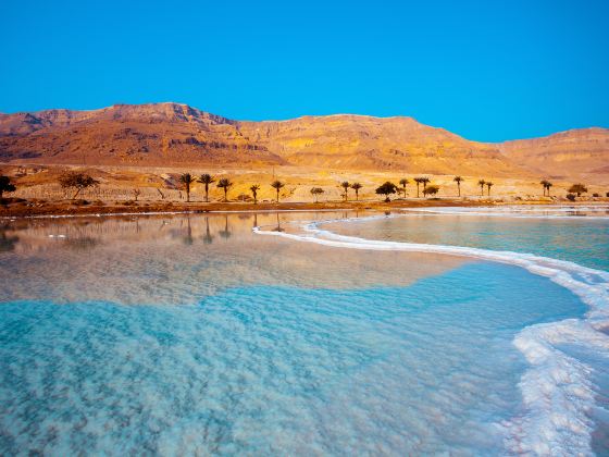 Dead Sea