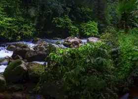 通霊大峡谷