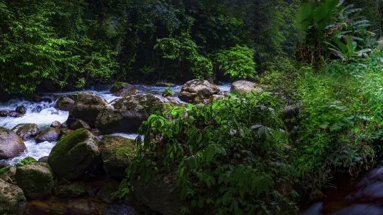 通霊大峡谷