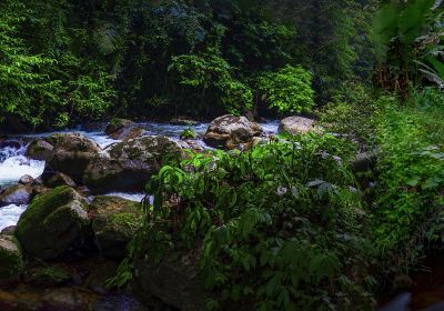 Tongling Canyon