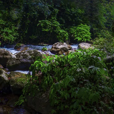 英航 飛 河池