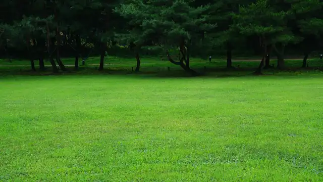 鄰近卑南文化公園的酒店