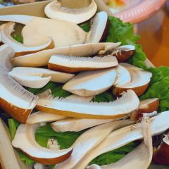 Shi quan Jiu mei wild mushroom hotpot User Photo