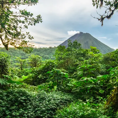 Отели с услугой ванной в г. Сан Карлос