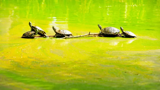 Danube-Auen National Park