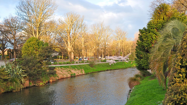 Bottle Lake Forest Park