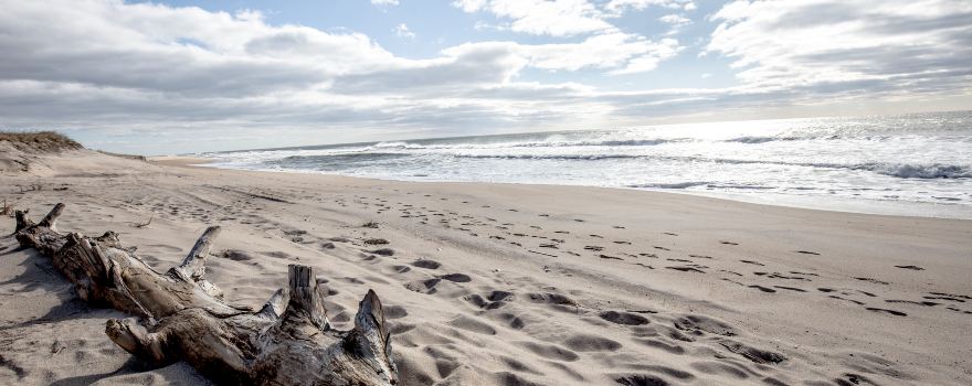 Montauk