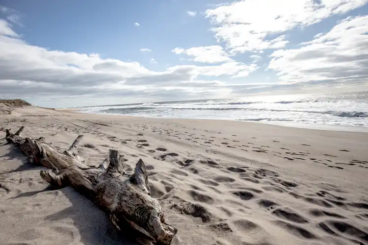 Montauk