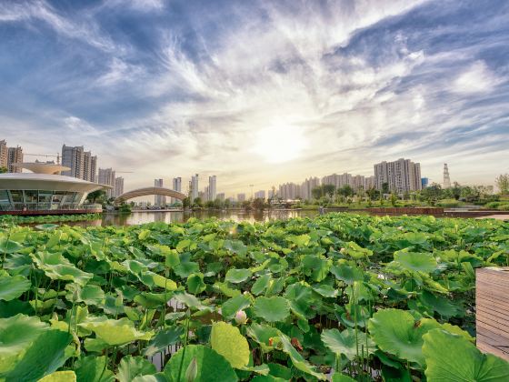 西安植物園新区