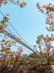 龍河桜花谷