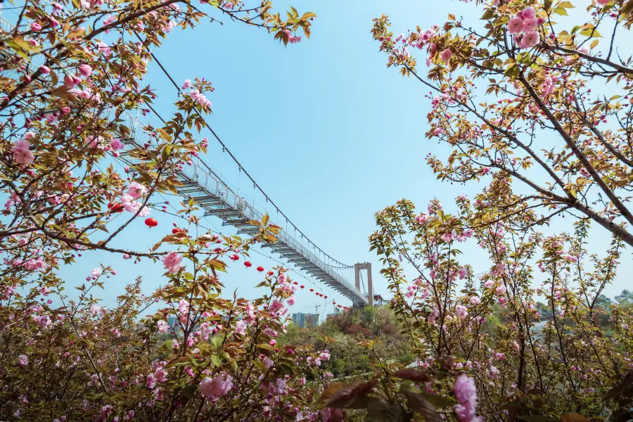 龍河桜花谷