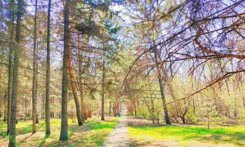 Heilongjiang Forest Botanical Garden