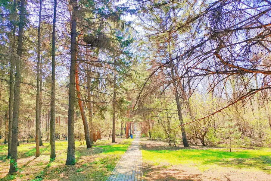 黑龍江省森林植物園