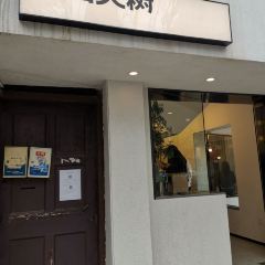 Cunkou Big Tree User Photo