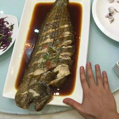 Sterne張用戶圖片