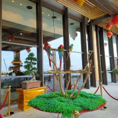 太湖龙之梦雅仕酒店·ADD全日制餐厅 User Photo