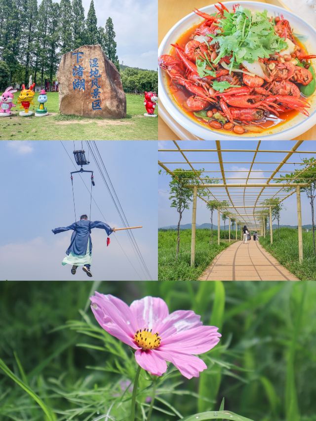 德清下渚湖濕地公園
