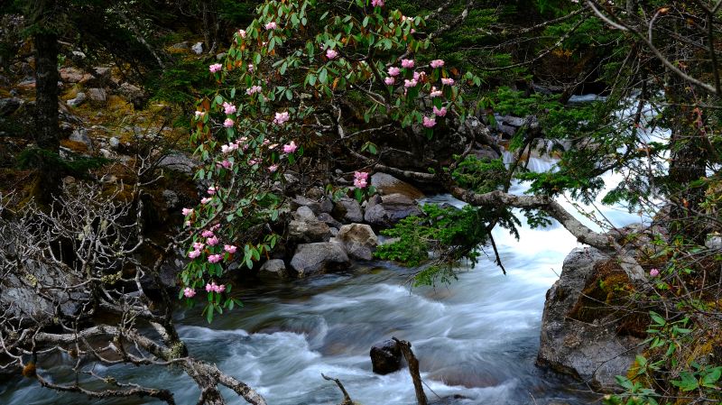 Yaha Scenic Area