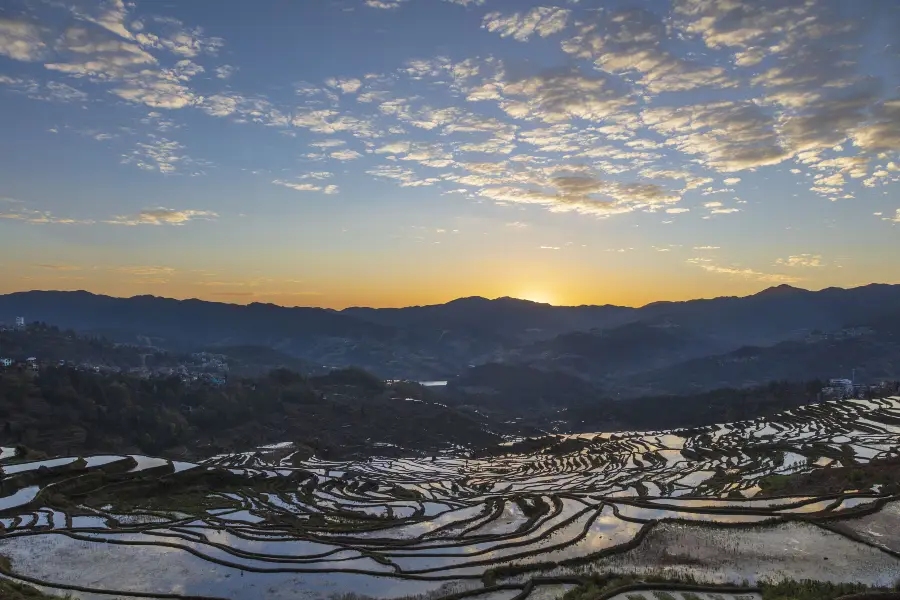 Tasa Terraces