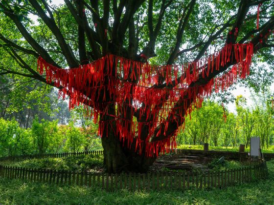 Jianshan Natural Scenic Area