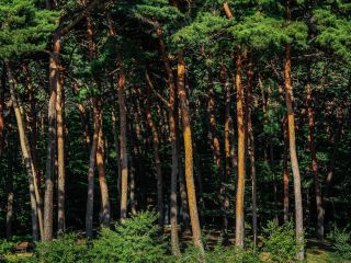 충청남도 서산의료원 근처 호텔