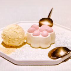 Venexia User Photo