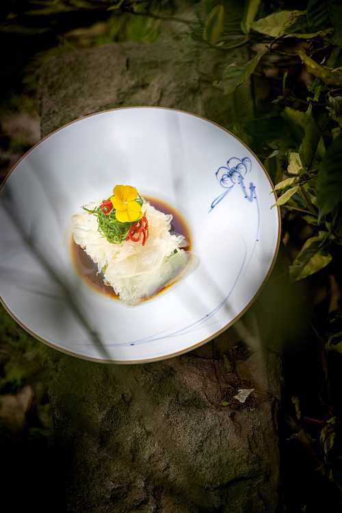 BAI YUN