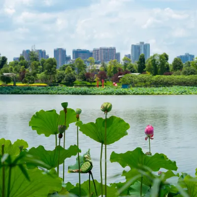 Для бизнес-поездок Отели в г. Суйнин
