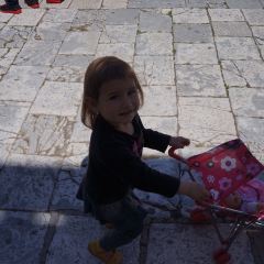 Dalmatino User Photo