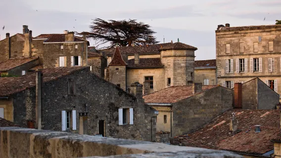 Bordeaux-Saint-Émilion one-day tour[Chartered private charter, Chinese-English Driver, Guide, Itinerary Adjustment]