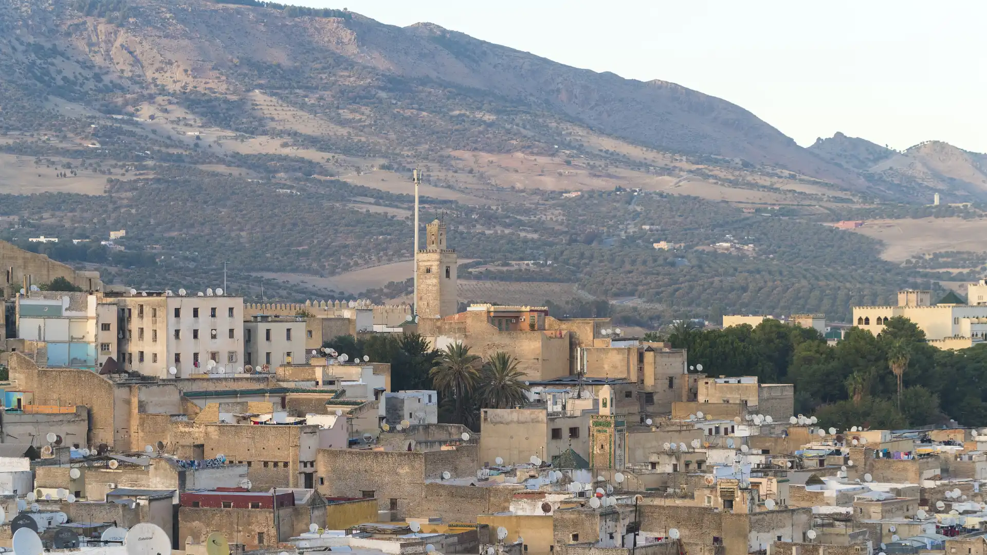 Hotels near المدينة