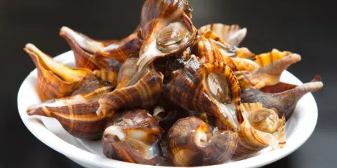 海味當家·蒸鍋海鮮（民主廣場創始店）