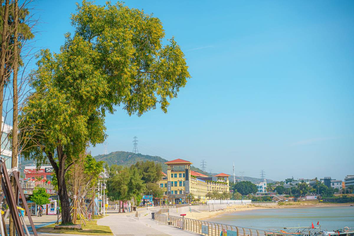 深圳跨年 | 較場尾：海邊煙花與民宿派對 