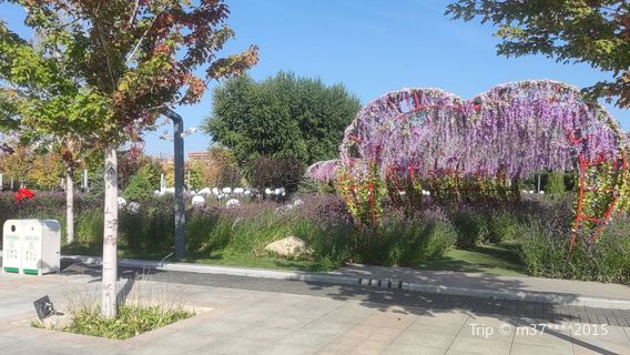 Citizen Square