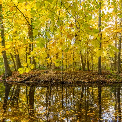 Отели с услугой парковкой в г. Эйндховен