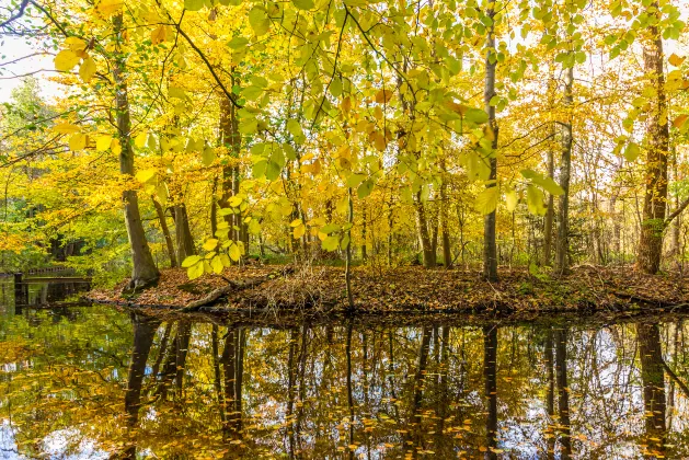 Для бизнес-поездок Отели в г. Маастрихт
