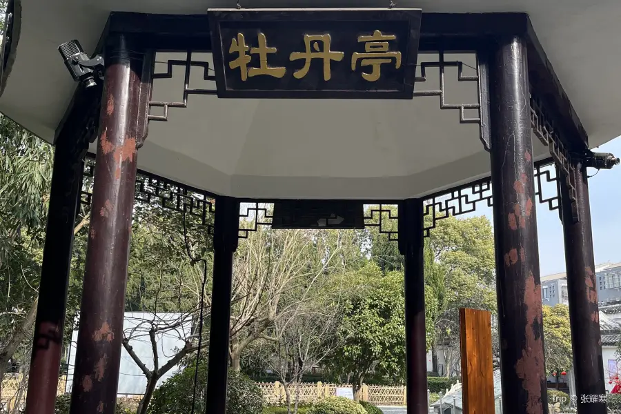 鹽城枯枝牡丹園