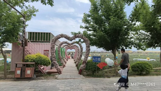 Zhongyihuahai Theme Amusement Park