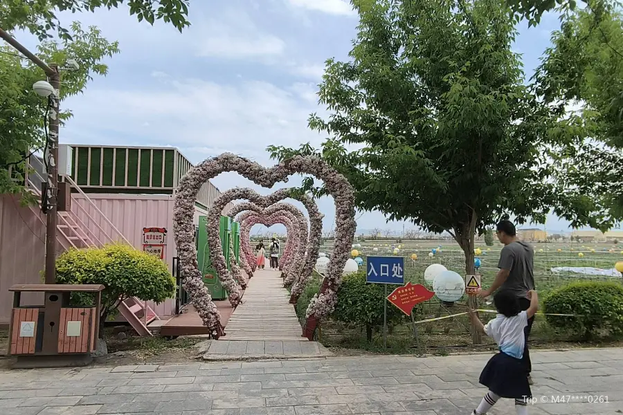 仲頤花海主題樂園