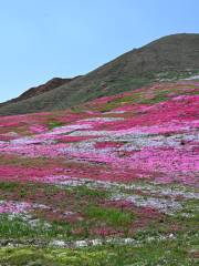 將軍山遼疆生態公園