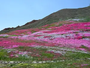 General Mountain Liaojiang Ecological Park