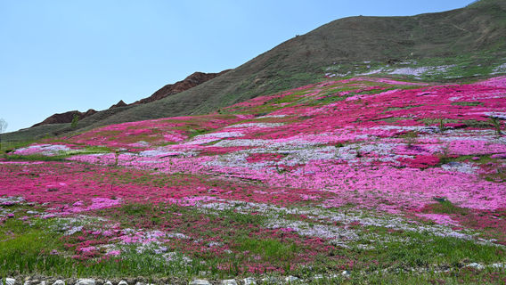 General Mountain Liaojiang Ecological Park