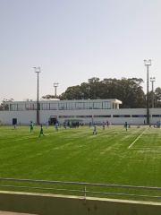 Estádio dos Arcos