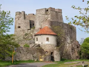 Levice castle